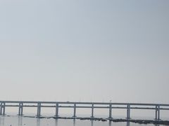 -黑石礁公园