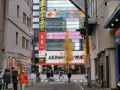 -秋叶原电器街