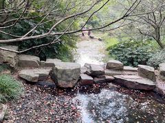 -杭州半山国家森林公园