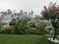 -荷兰花海