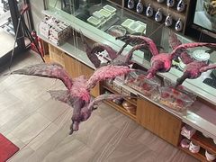 -巴盟人家·内蒙地方菜(华丽家族店)