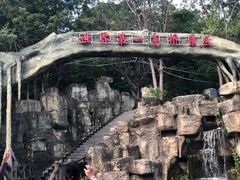 -元江连续刚构世界第一高桥景区