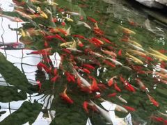 -南通洲际绿博园