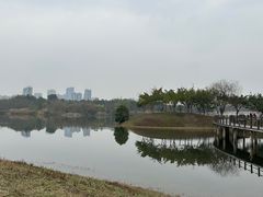 -眉山湿地公园(东坡区)