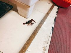 -三好倪氏龙虾(日规路店)
