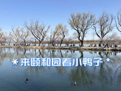 -颐和园