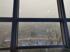 -339旋转餐厅(天府熊猫塔店)