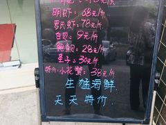 -蚝专家