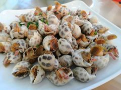 -七鲜渔港美食餐厅(巽寮湾海景店)