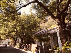 -凤凰御元艺术基地
