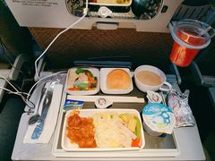-新加坡航空公司(ION)