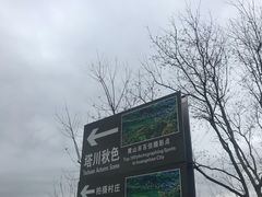 -塔川景区