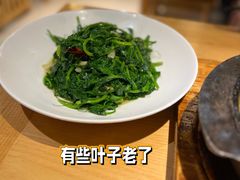 炒豌豆尖-汉·鲜味人知(陈家营店)