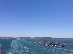 -兴旺渔家
