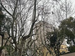 -小杨生煎(黄河路店)