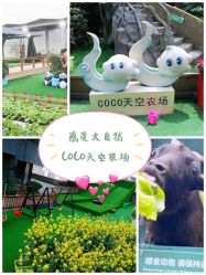 -可可天空农场(中大店)