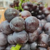 冰爽一夏丨恒隆广场茶百道
