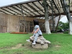 -田园东方蜜桃村的田野营地