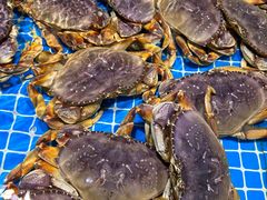 -三亚火车头万人海鲜广场