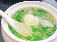 豆苗竹笙汤-北国饭店(阳光店)