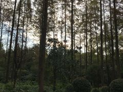 -上海怡沁园度假酒店