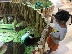 点击看大图 -七巧国萌宠乐园(龙湖天街店)