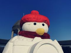 -长春公园(普阳街道)