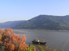 -北岐滩涂