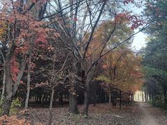 -长春市南湖公园