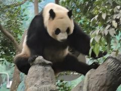 -石排湾郊野公园