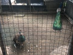 -意大利农场度假村