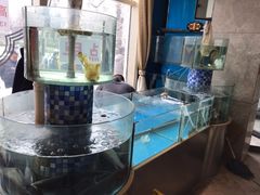 水产区-鑫巴蜀(和平里店)