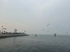 -东港音乐喷泉广场