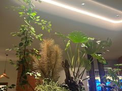 -雲說·花(西宸天街店)
