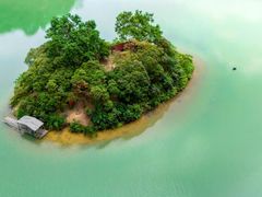 -广州白江湖森林公园