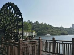 -重庆彩云湖湿地公园