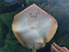 -珠海长隆海洋王国