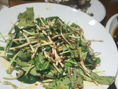 -小眼睛餐饮&杨杨夜宵