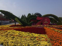 -大兴滨河森林公园