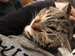 -平行世界·猫咖(首经贸店)