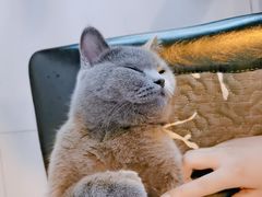 -平行世界·猫咖(首经贸店)