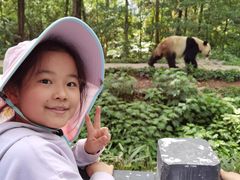 -中国大熊猫保护研究中心雅安碧峰峡基地