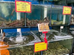 -蚝专家(北滘店)