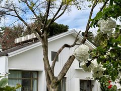 -柠檬花院烤肉·会议团建·聚会·求婚(三圣乡店)