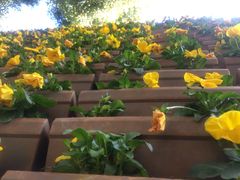 -云南民族大观园