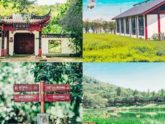 景点-武汉琴台钢琴博物馆