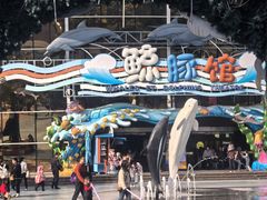 -海合安成都极地海洋公园