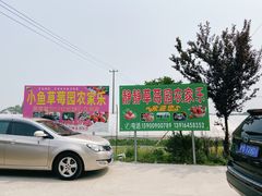 -小鱼草莓采摘园农家乐·小鱼餐厅