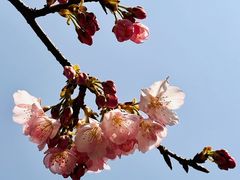 -静安雕塑公园