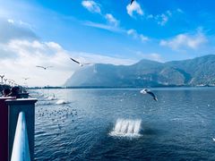 -海埂大坝